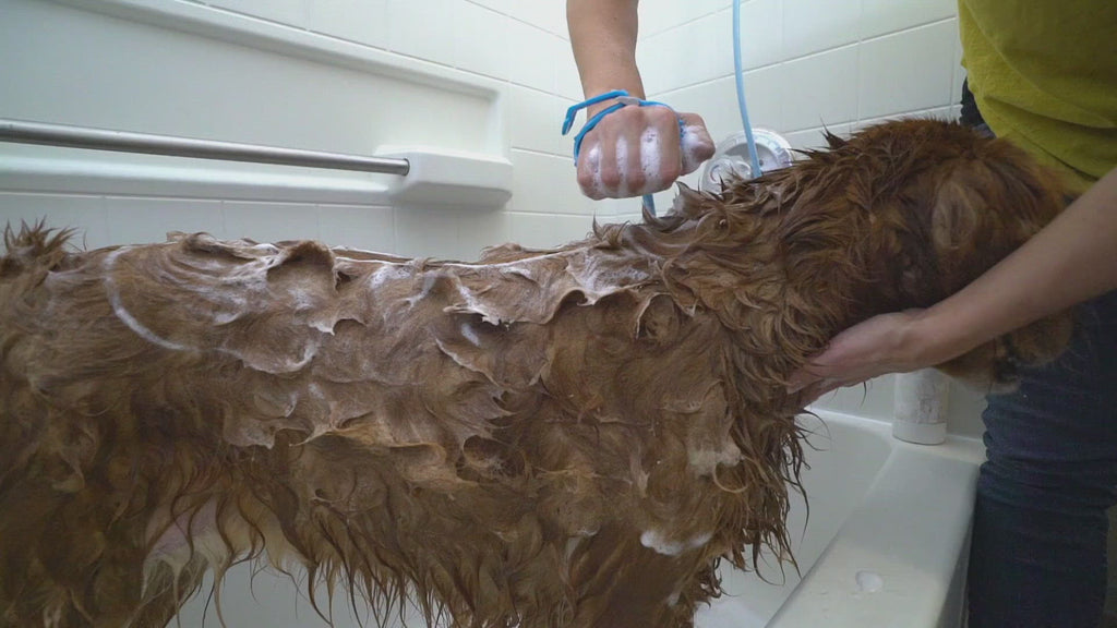 Aquapaw Pet Bathing Tool